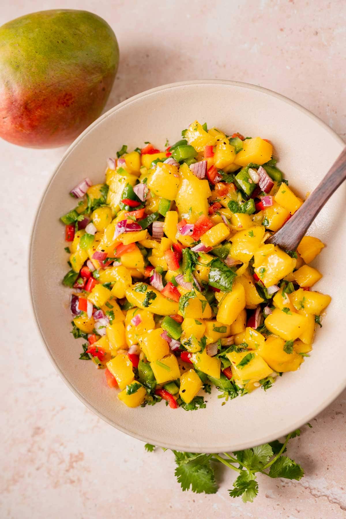 Mango Salsa Recipe - Fresh Mango Salsa Recipe