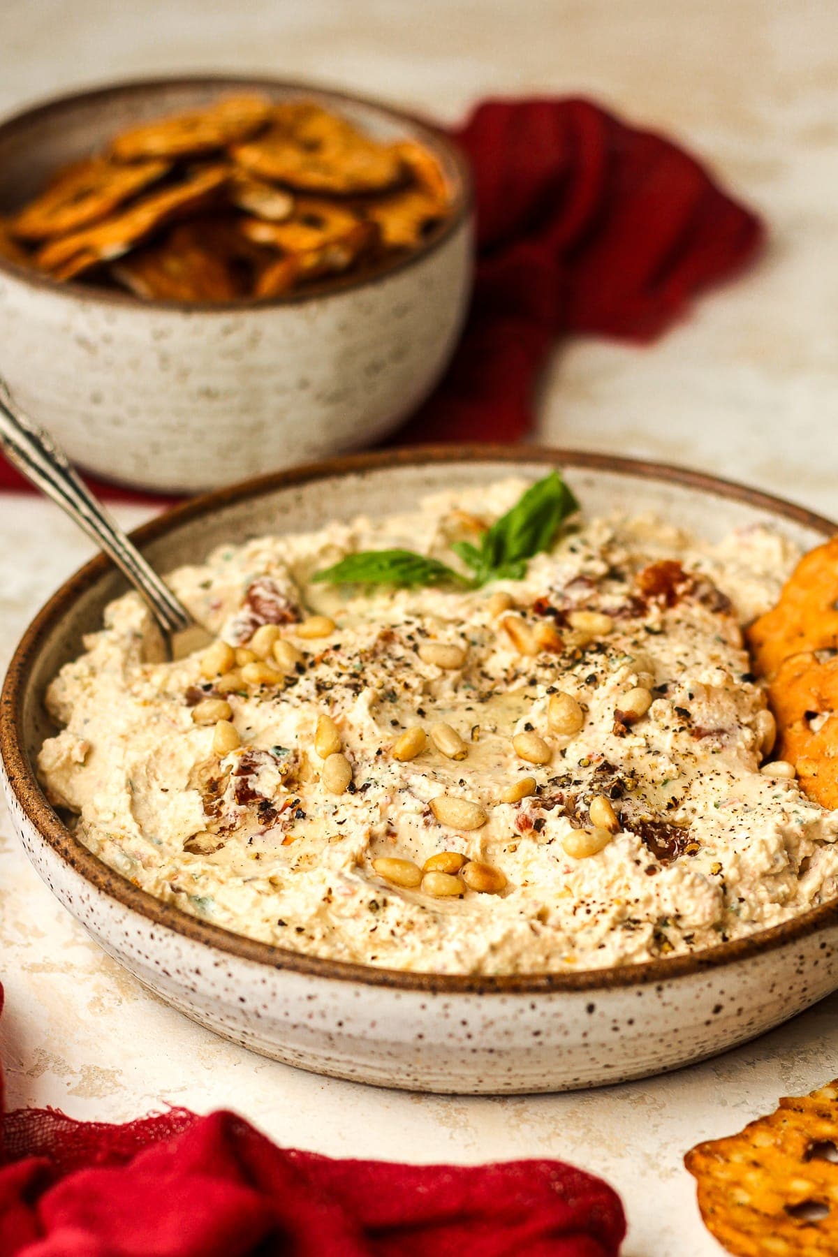 Tomato and Sunflower Seed Dip Recipe