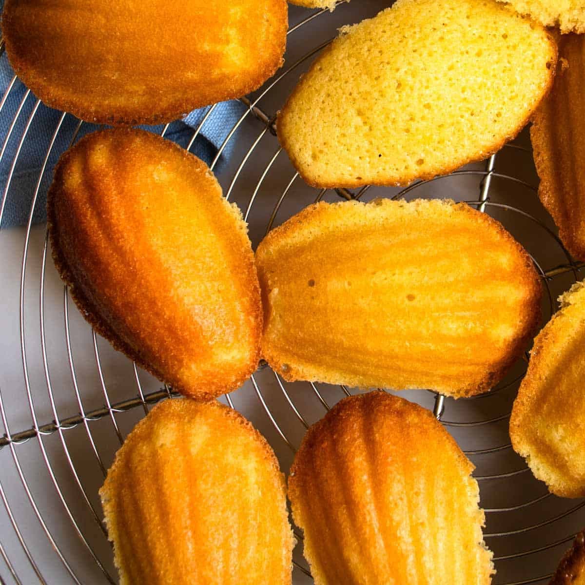 French Madeleine Recipe
