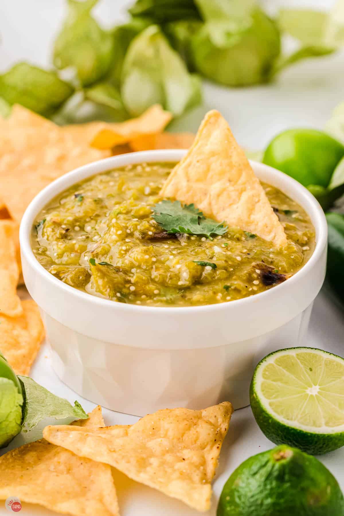 Spicy Mexican Salsa Verde Recipe - Green Tomato Salsa